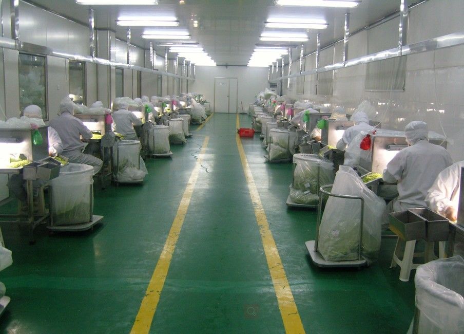 Πραγματοποιήθηκαν από το HACCP Ιαπωνικά ψίχουλα ψωμιού Panko για τηγανητά τρόφιμα με μέγεθος 2-12 mm και υλικό σιταριού