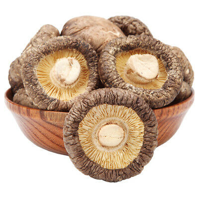 Υψηλός σκοτεινός καφετής μανιταριών Shiitake διατροφής ξηρός για το μαγείρεμα
