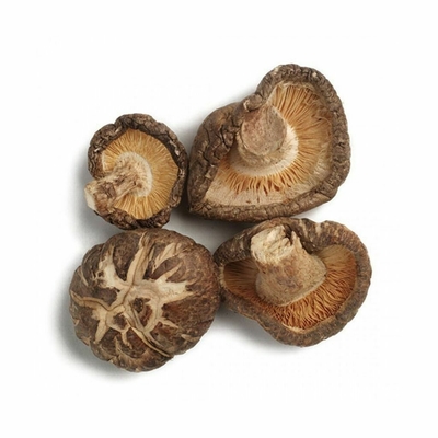 Αφυδατωμένο ξηρό Shiitake ξεφυτρώνει 45CM ΚΑΠ για το εστιατόριο