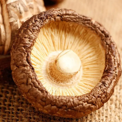 Υψηλή πρωτεΐνη ξηρά μανιτάρια Shiitake με γεύση μανιτάρι και ποιότητα υφής