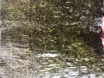 αρωματικό Wasabi φύκι 19x21CM, ξηρά φύλλα φυκιών Nori σουσιών