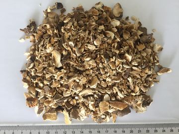 Αφυδατωμένοι Shiitake κόκκοι μανιταριών 10x10mm μέγεθος με το φυσικό γούστο