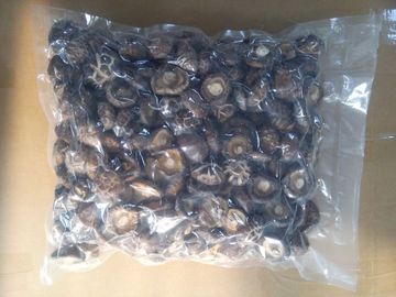 Υγιής ξηρά υγρασία μανιταριών 11% Shiitake καμία ξένη μυρωδιά
